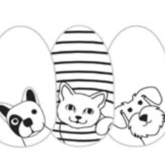 Color Street Nail Strips ~ Friends Furever - Picture 3 of 6